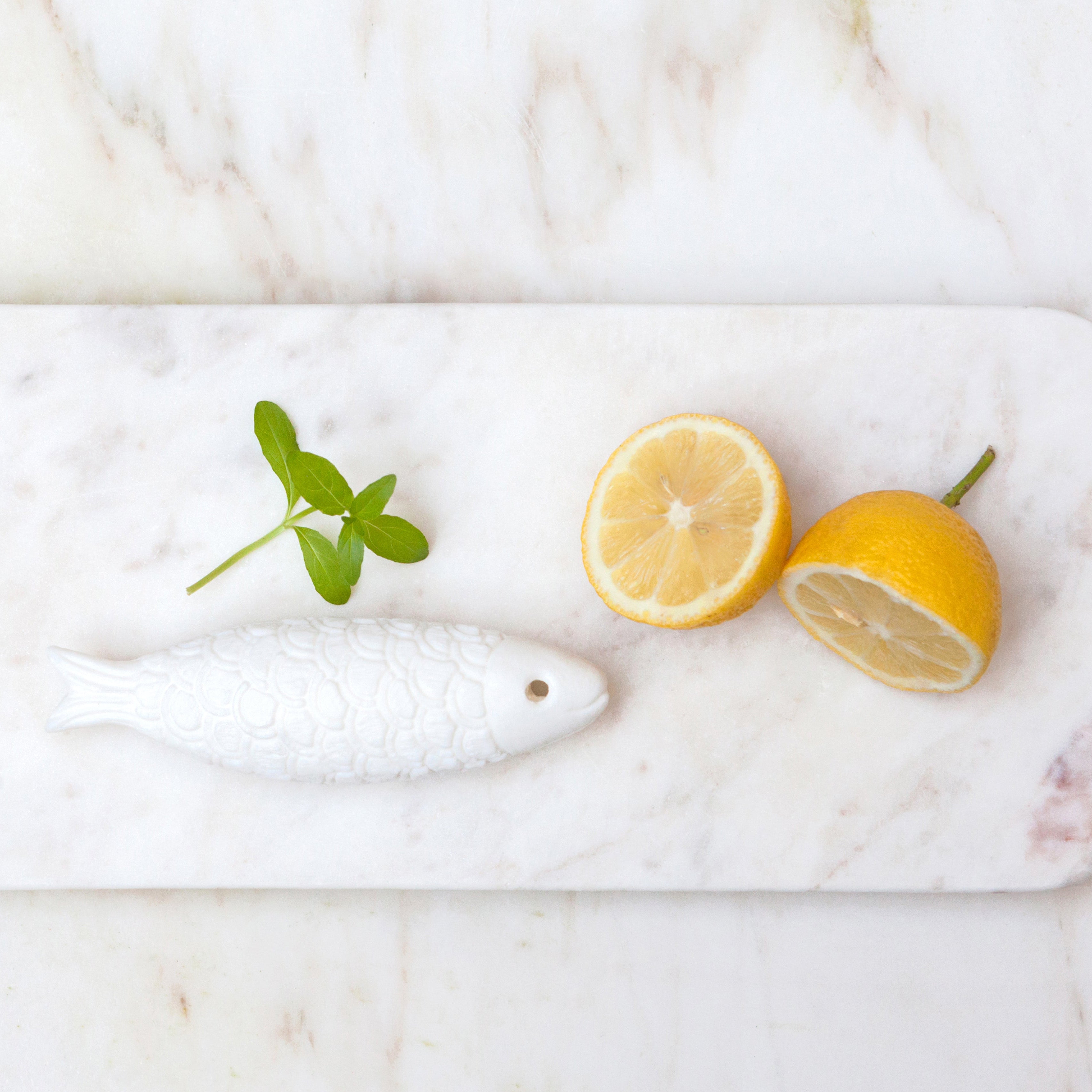 Savon en forme de sardine sur une corde