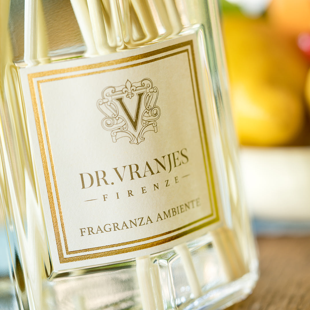 Coffret cadeau diffuseur et recharge gingembre et citron vert Dr Vranjes
