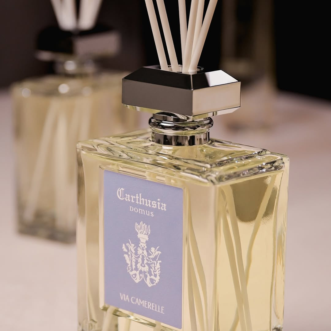 Difusores de Carrizo Carthusia (480ml)