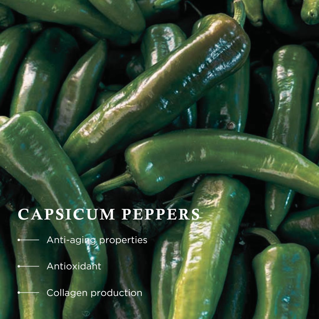 Wiberg's Pine Bath Essence