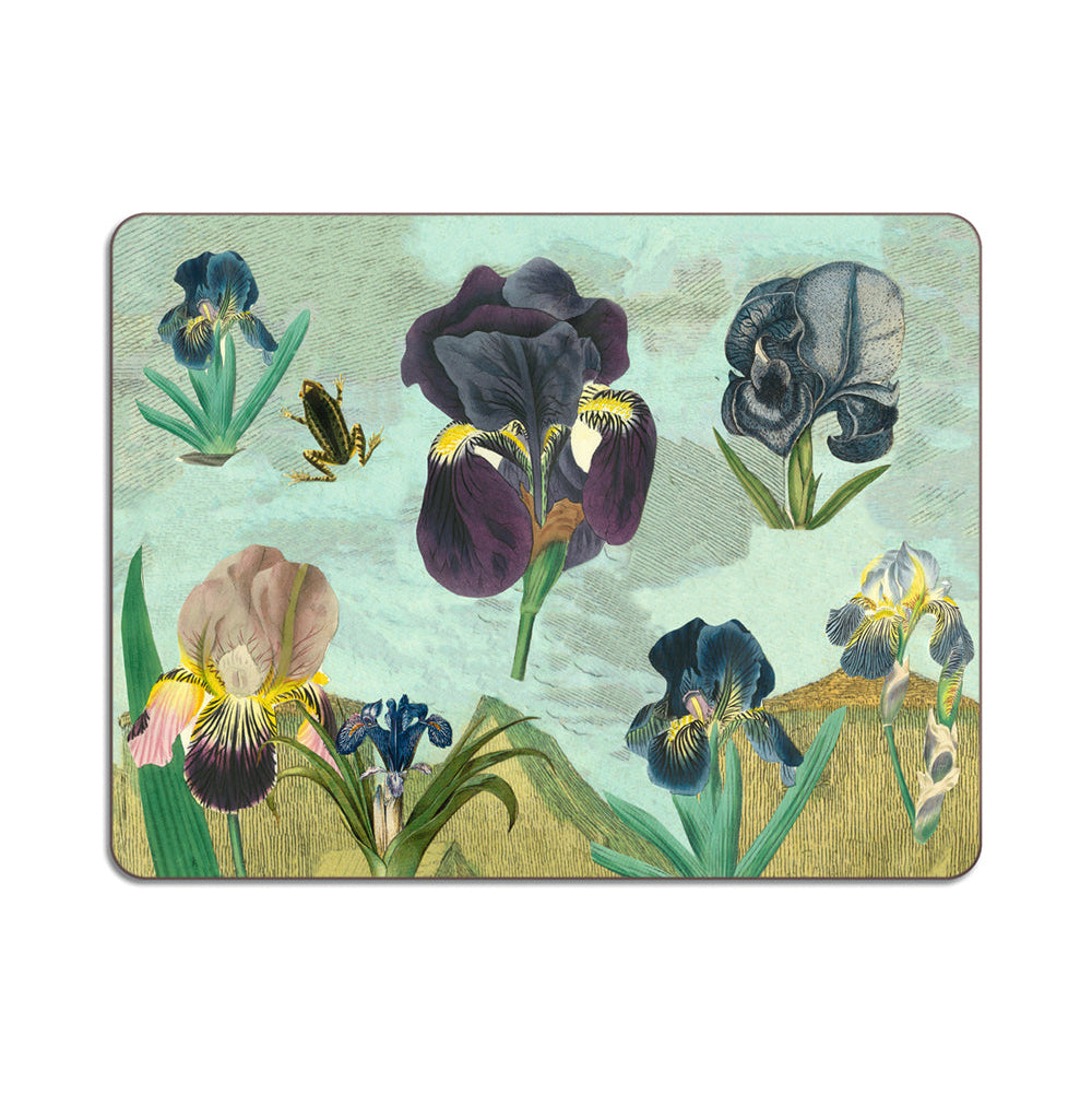 Animal Design Table Mats & Coasters