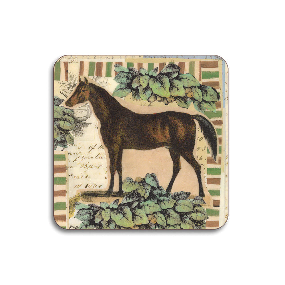 Animal Design Table Mats & Coasters