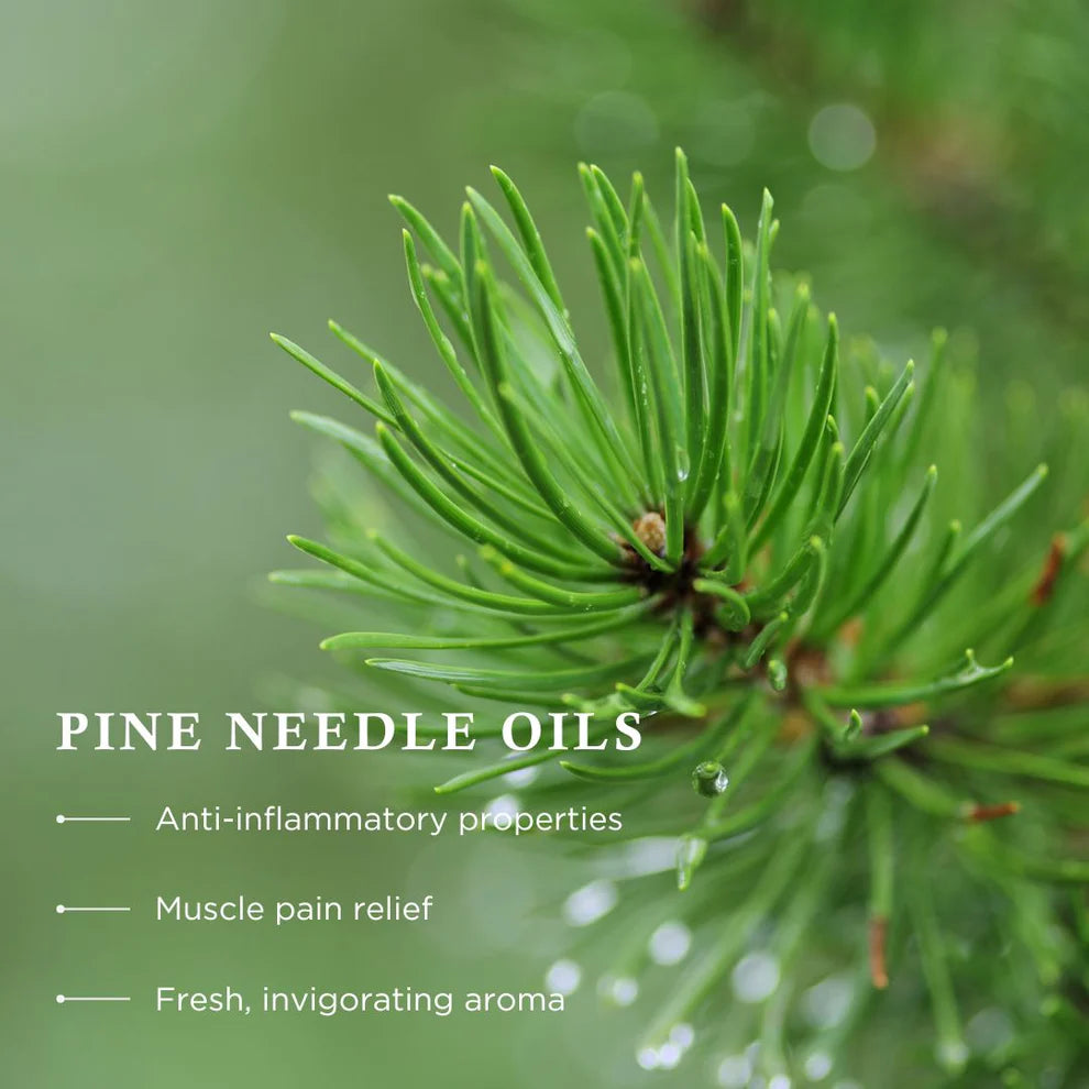 Wiberg's Pine Bath Essence