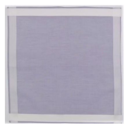 Lehner Ladies Swiss Cotton Handkerchief - White Border