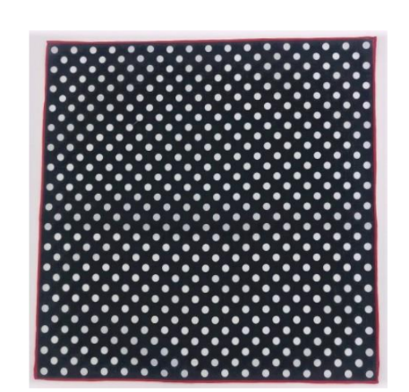 Lehner Ladies Swiss Cotton Handkerchiefs - Spot Design