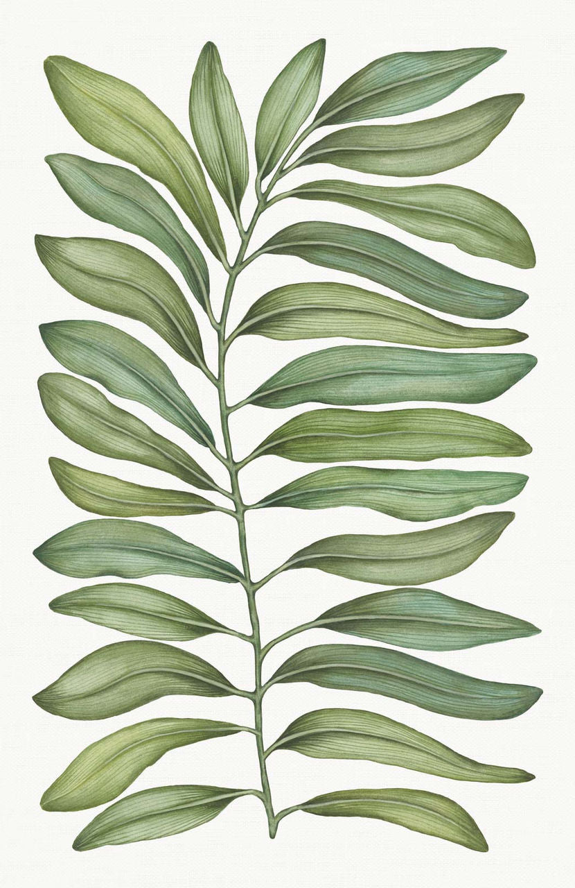 Tamarindo 100% Linen Table Linens