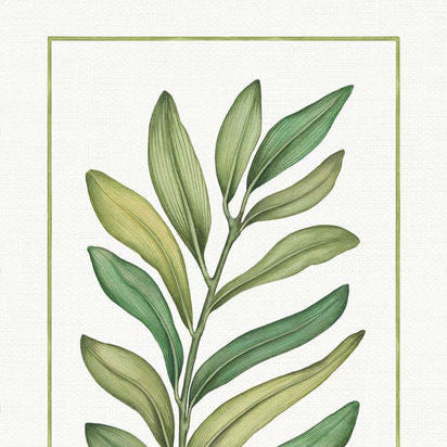 Tamarindo 100% Linen Table Linens