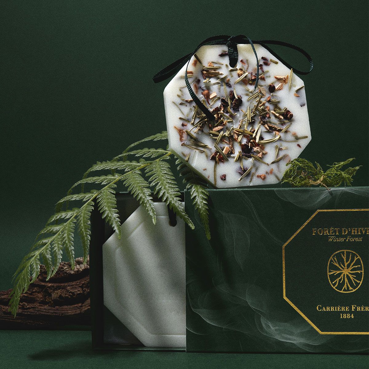 Carrière Frères Botanical Palets Bosque de invierno
