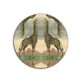 Giraffe Coaster
