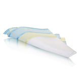 Lehner Swiss Cotton Ladies Handkerchief -  Multi Colour Border