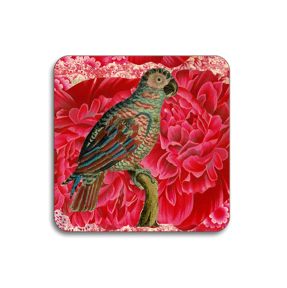 Animal Design Table Mats & Coasters