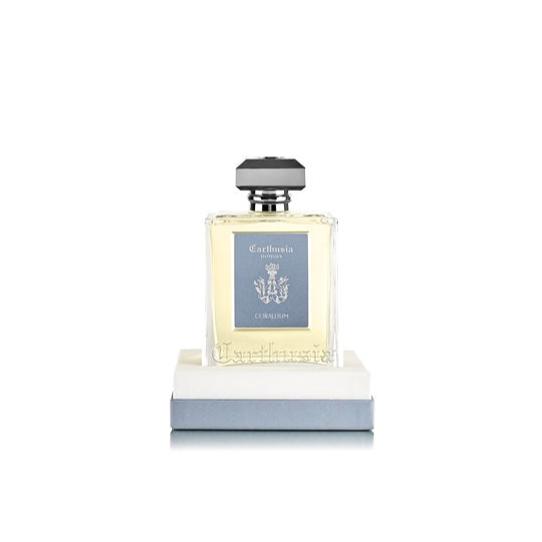 Diffuseurs de roseaux Carthusia (480 ml)