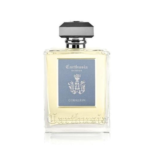 Difusores de Carrizo Carthusia (480ml)