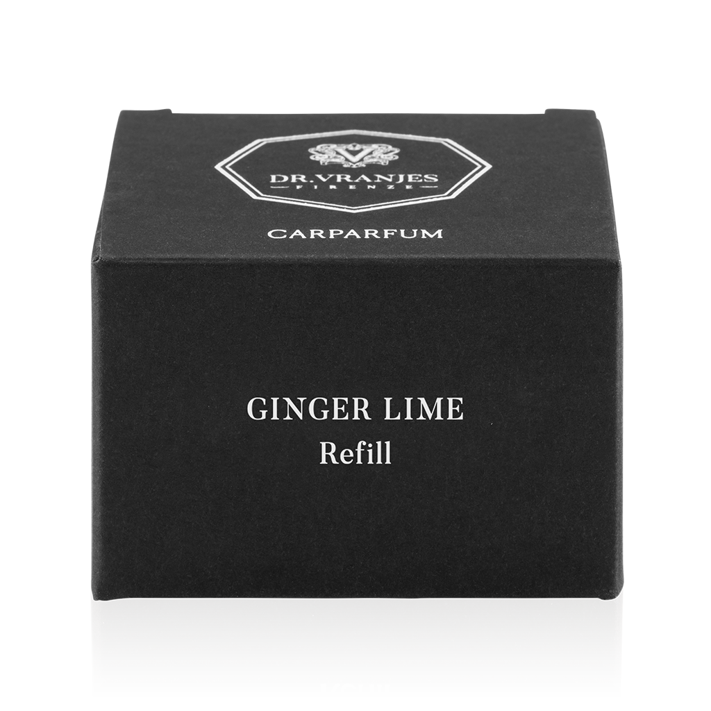 Dr Vranjes Chrome Car Parfum Diffuser & Refills