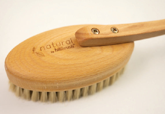 Long Handle Bath Brush