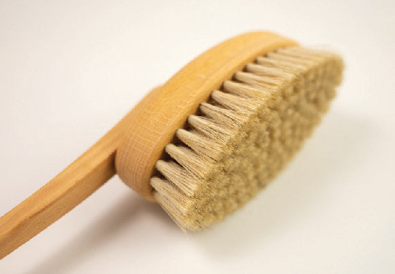 Long Handle Bath Brush