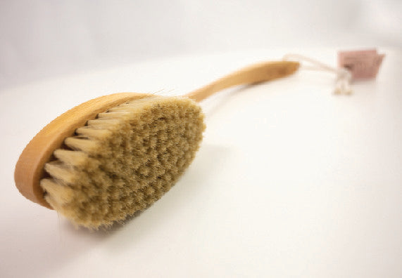 Long Handle Bath Brush