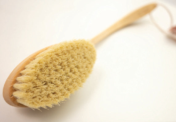 Long Handle Bath Brush