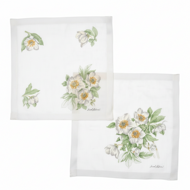Lehner Ladies Swiss Cotton Hand Rolled Handkerchief - White Flower (Christmas Rose)
