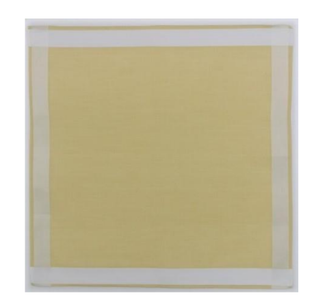 Lehner Ladies Swiss Cotton Handkerchief - White Border