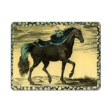 Animal Design Table Mats & Coasters