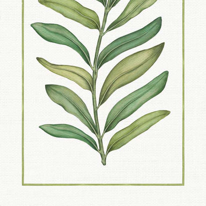 Tamarindo 100% Linen Table Linens