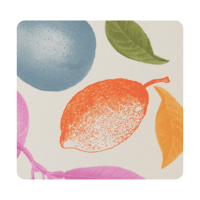 'Arriere Pays' Coaster Collection (Set of 4)