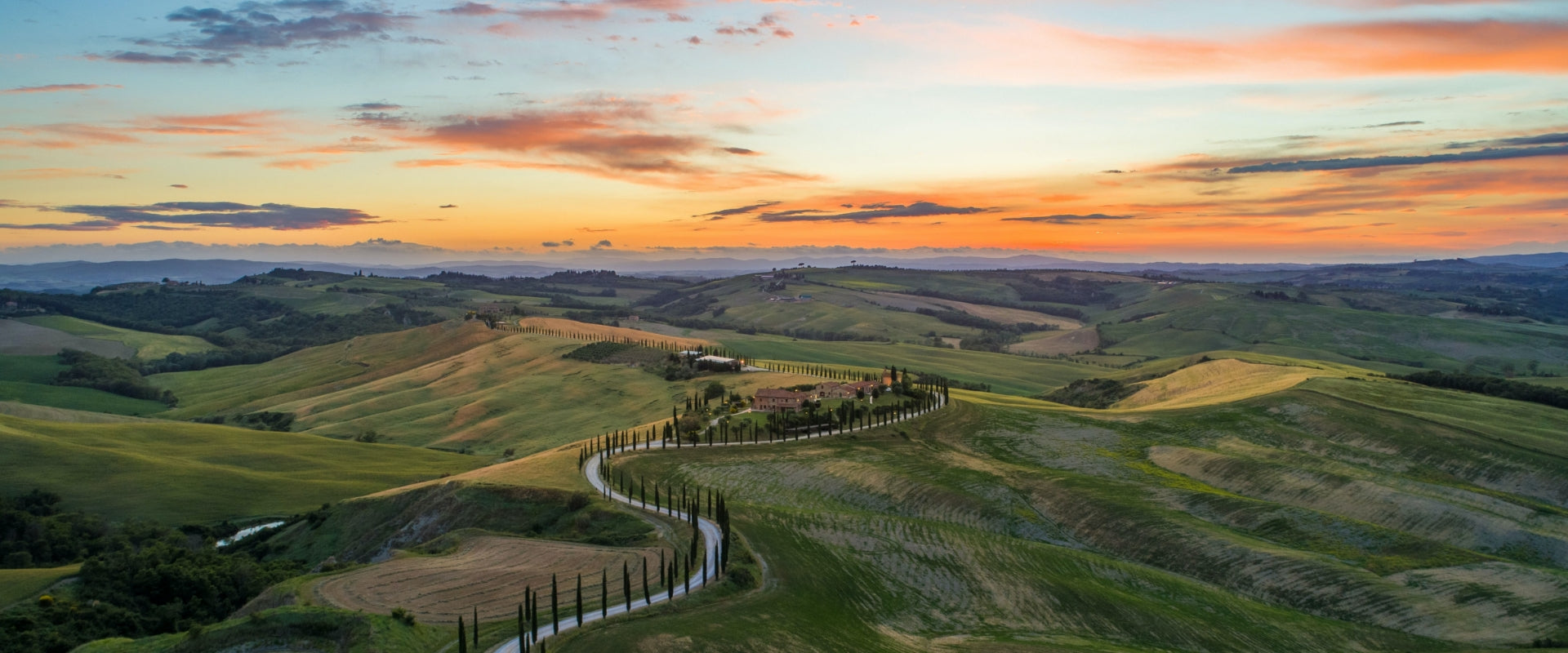 Made in Italy Banner