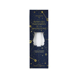 Trudon Pack of 6  'Madeleine' Christmas Scented Candles
