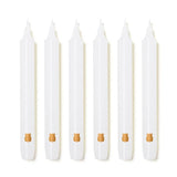 Trudon Pack of 6  Madeleine Parfumee Candles