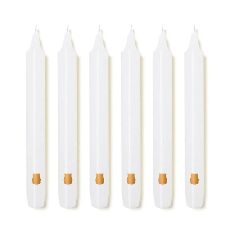 Trudon Pack of 6  Madeleine Parfumee Candles