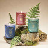 Carrière Frères Scented Christmas Candles - HALF PRICE