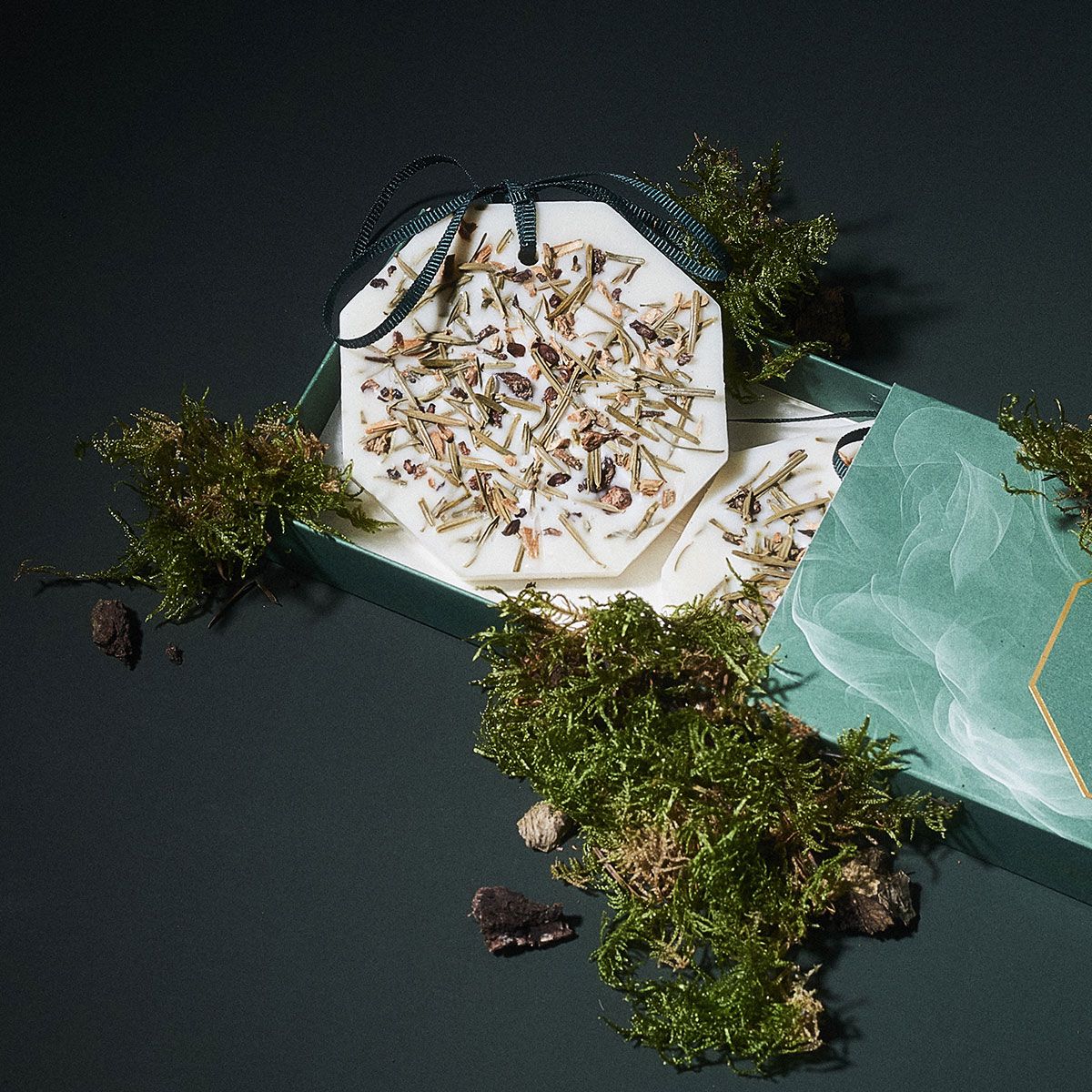 Carrière Frères Botanical Palets Bosque de invierno