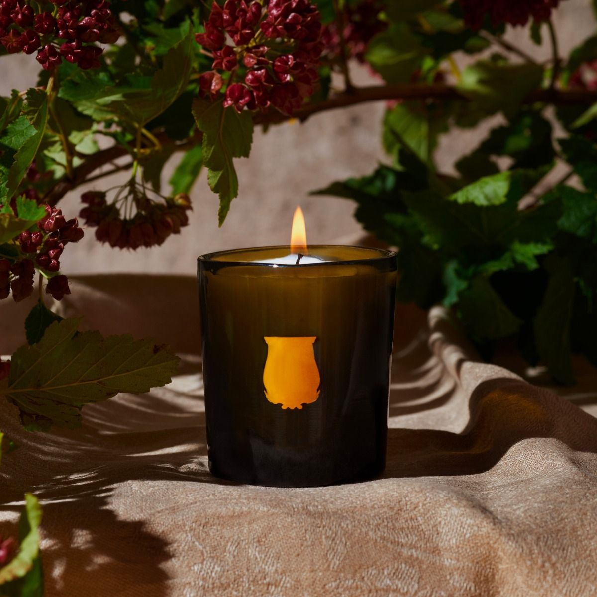 Trudon 'Small Scented Candle' Collection (70g)