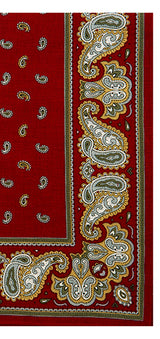 Decorative 'Paisley' Border Men's Handkerchief