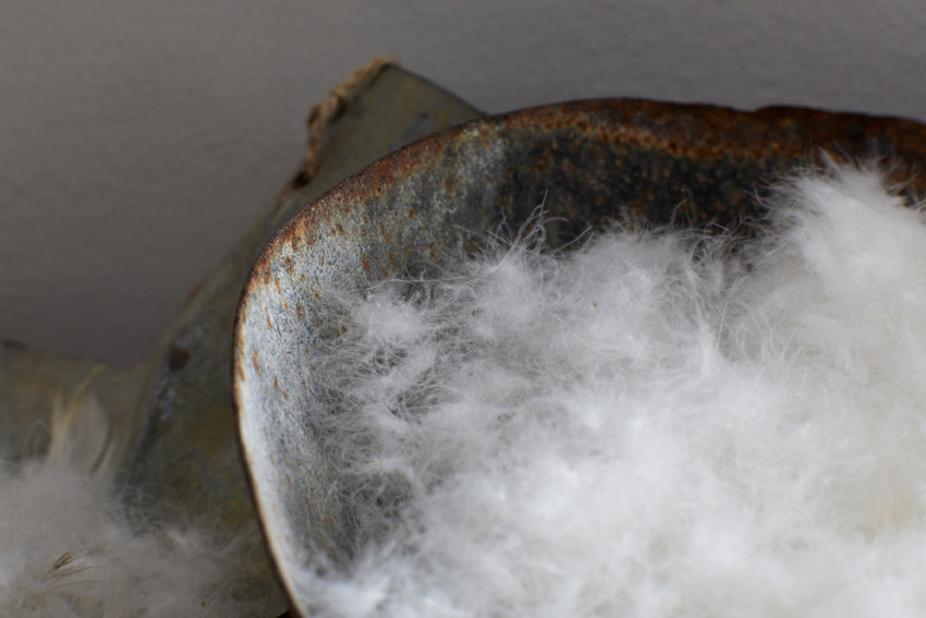 Woods Luxury White Duck Down Pillows