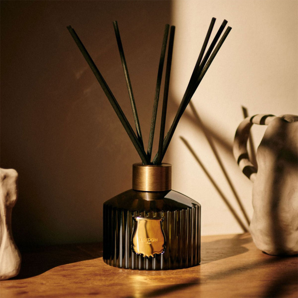 Trudon 'Reed Diffuser' Collection (350ml) – Woods Fine Linens